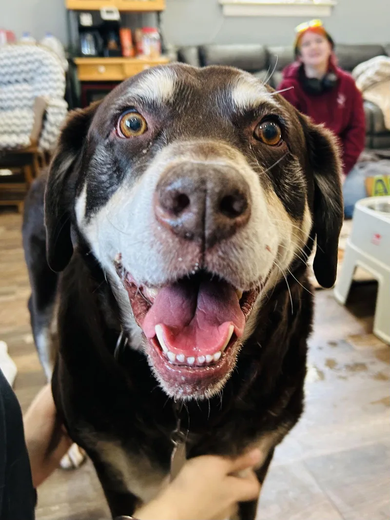 Frankie