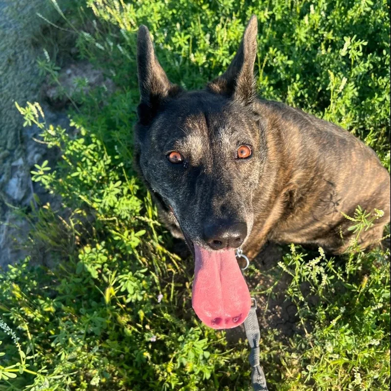 Kennedy Gdp thumbnail 3