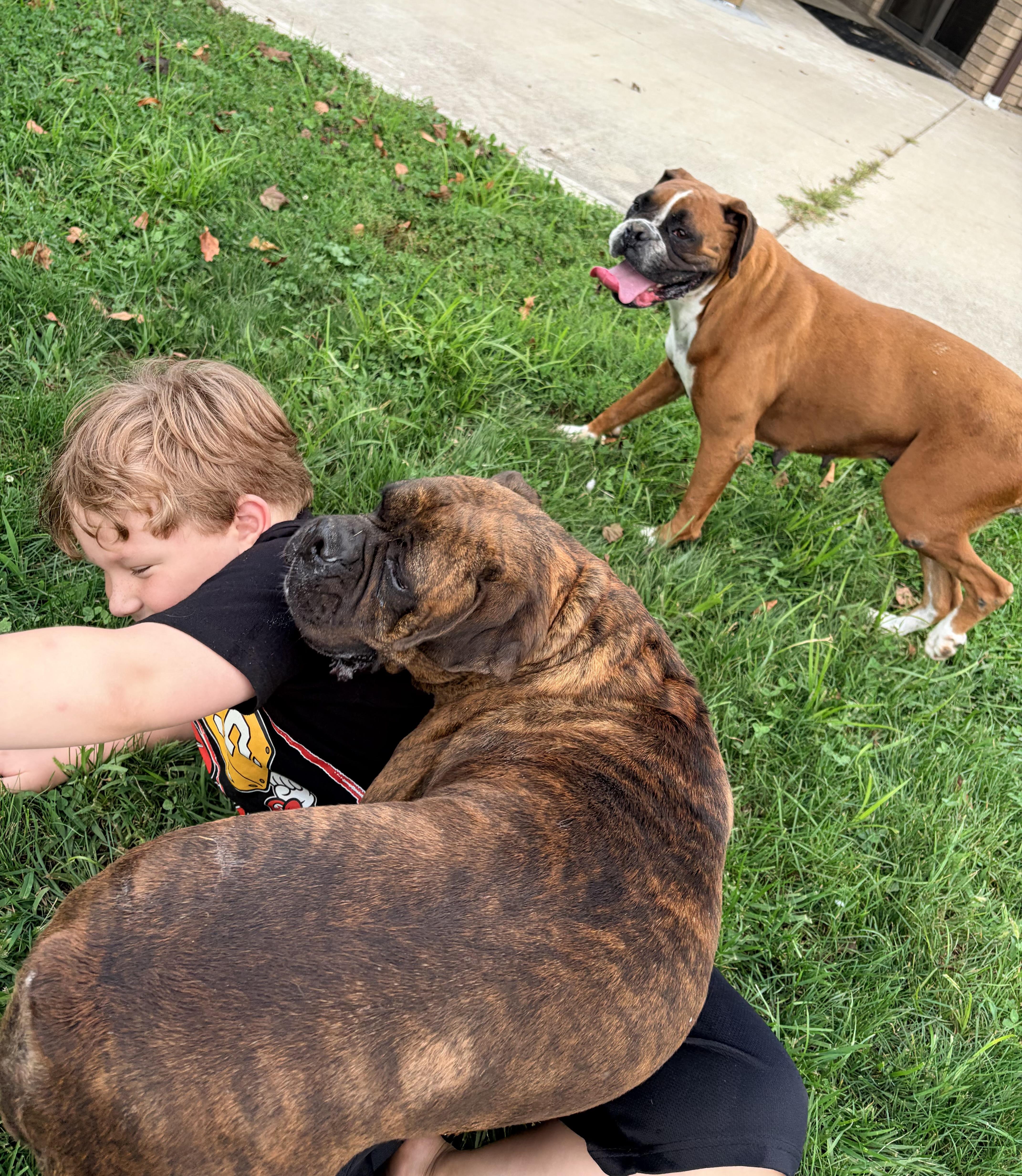Ruby and Pearl