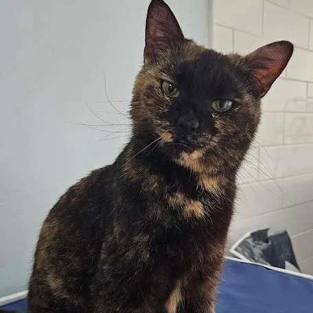 Sabrina