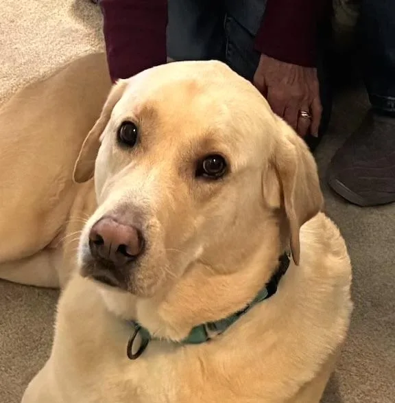 Maggie