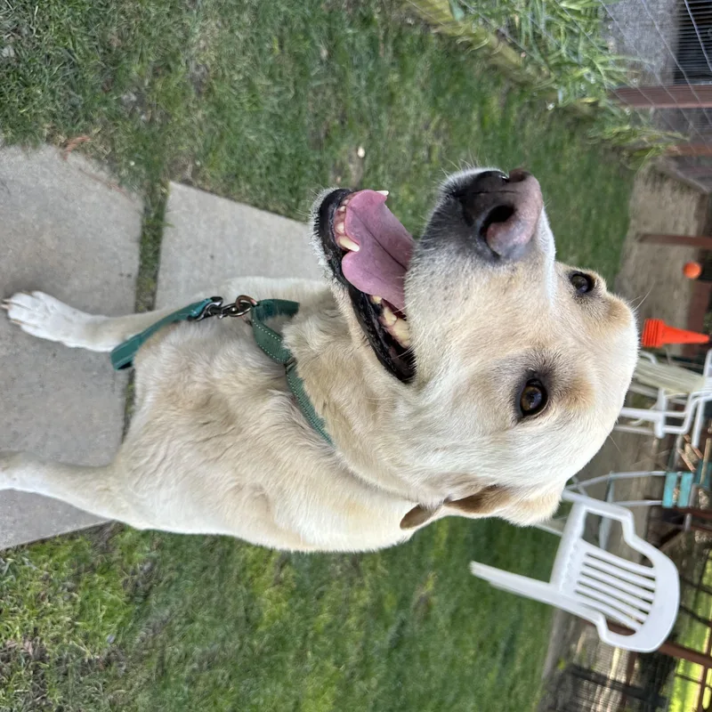 Maggie thumbnail 3