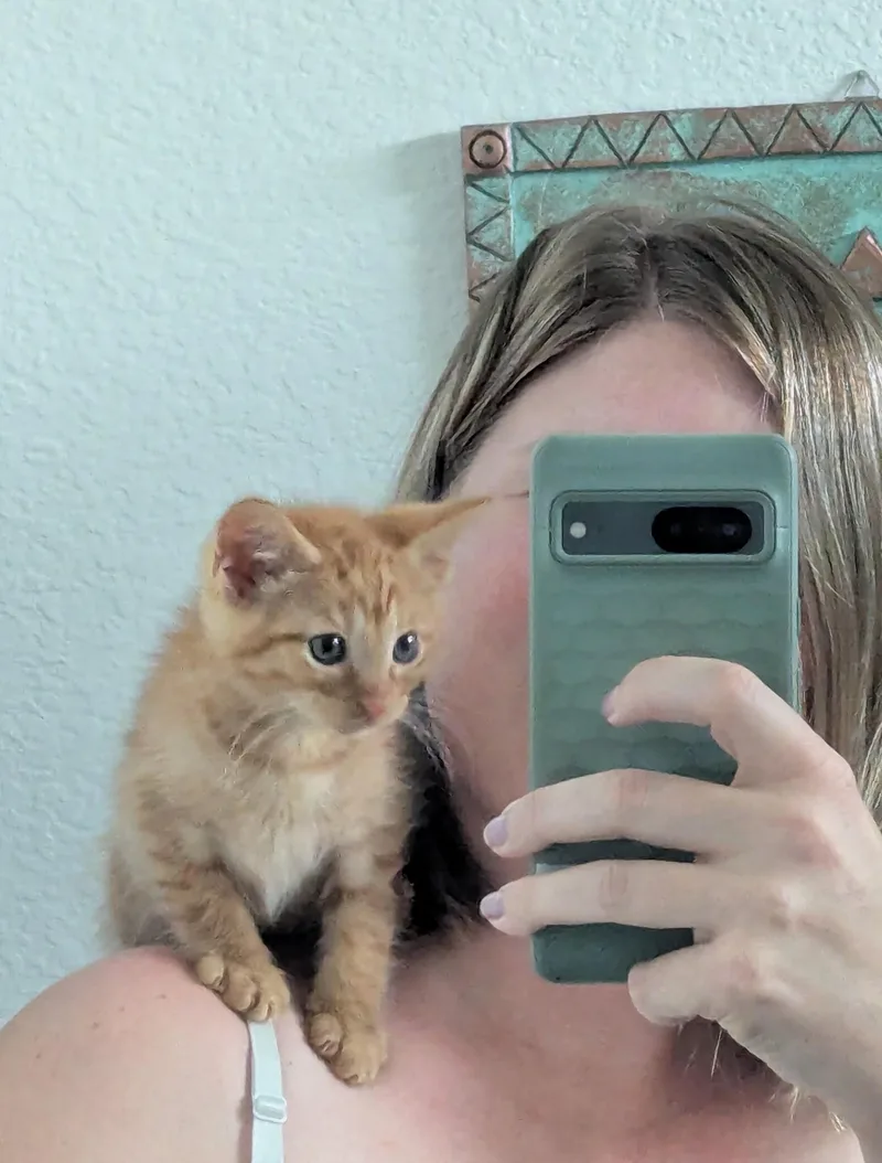 Twinkie thumbnail 2