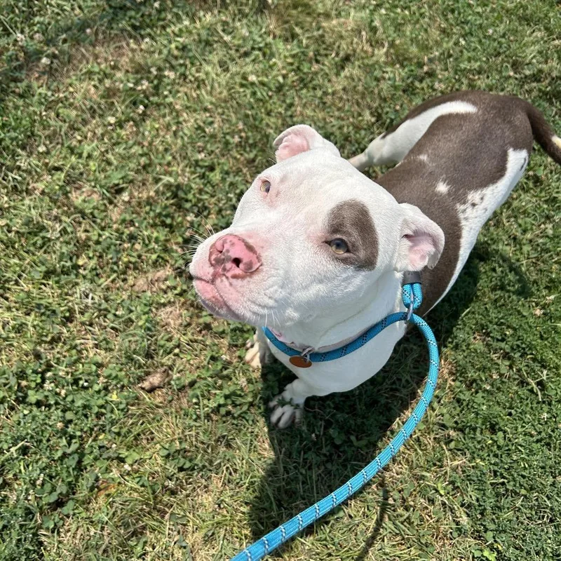 Precious