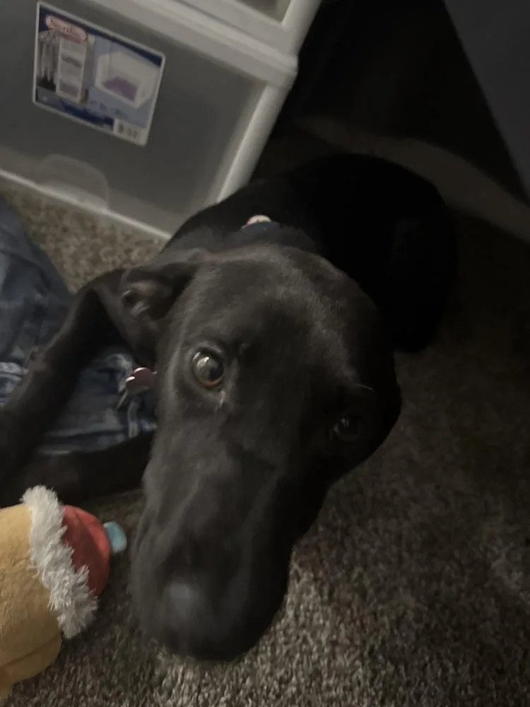 Skylar thumbnail 3