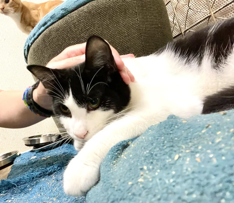 Hesitate thumbnail 2