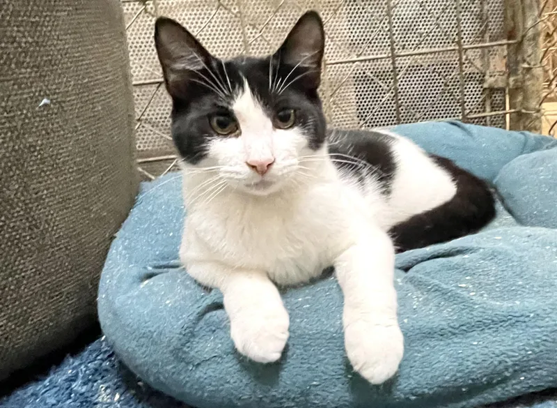 Hesitate thumbnail 3