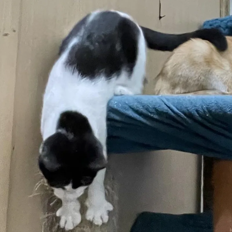 Hesitate thumbnail 5