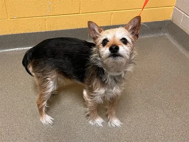 Max