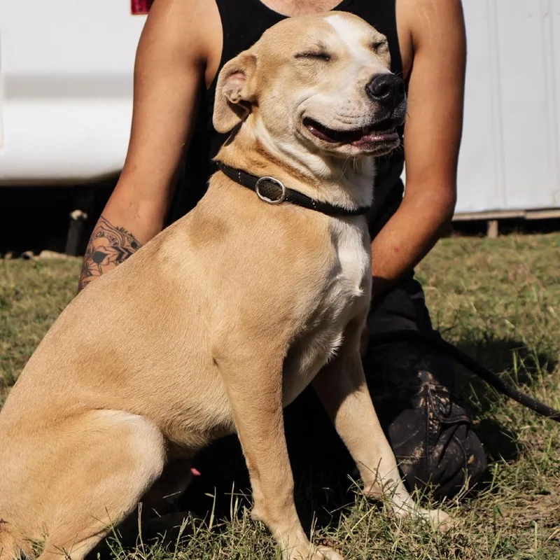 Sandler Jum thumbnail 2