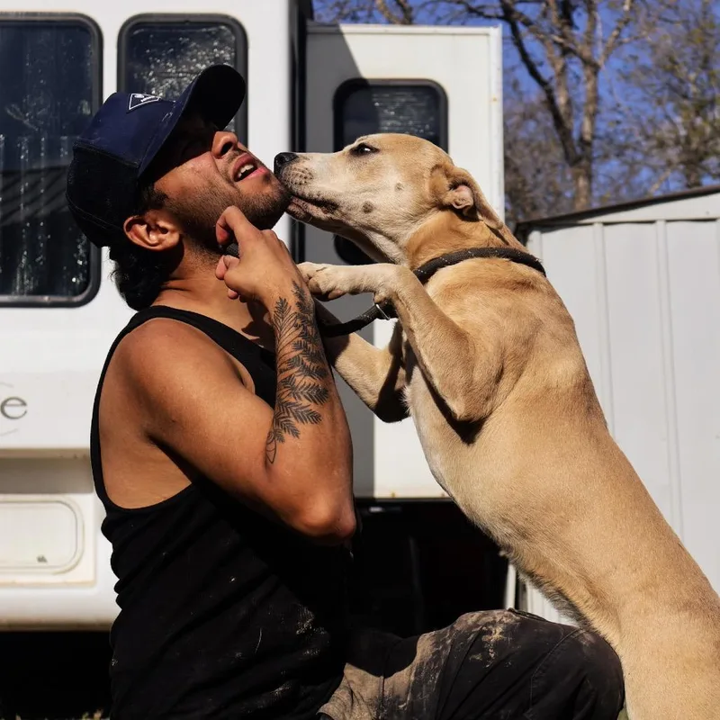 Sandler Jum thumbnail 3