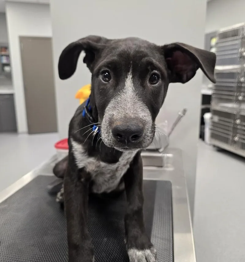 Security thumbnail 2