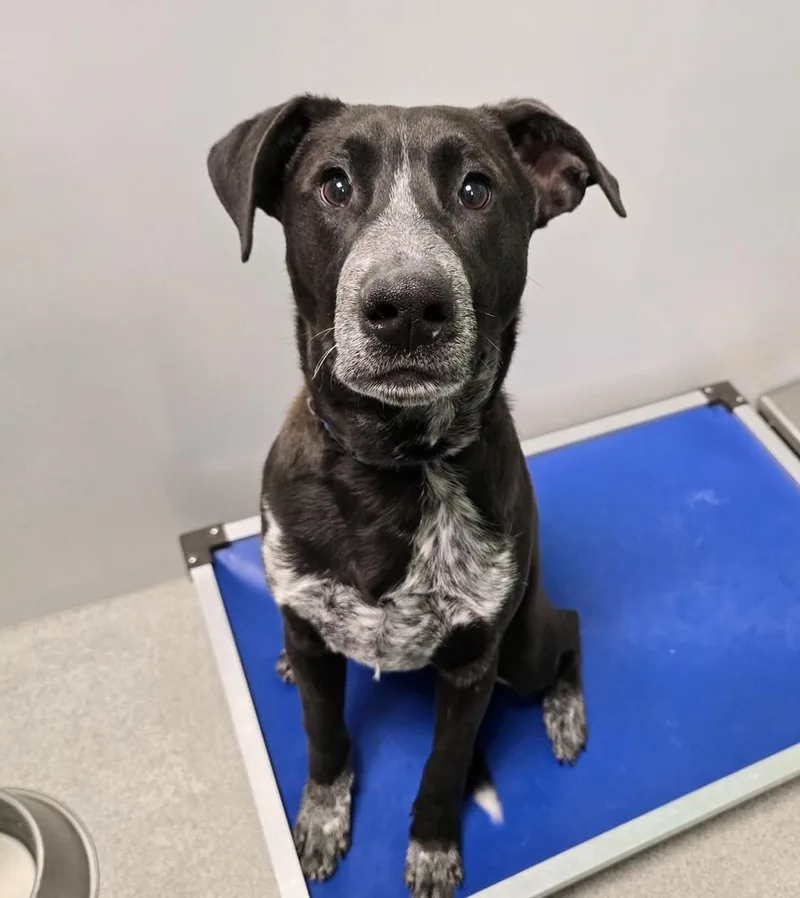 Security thumbnail 4