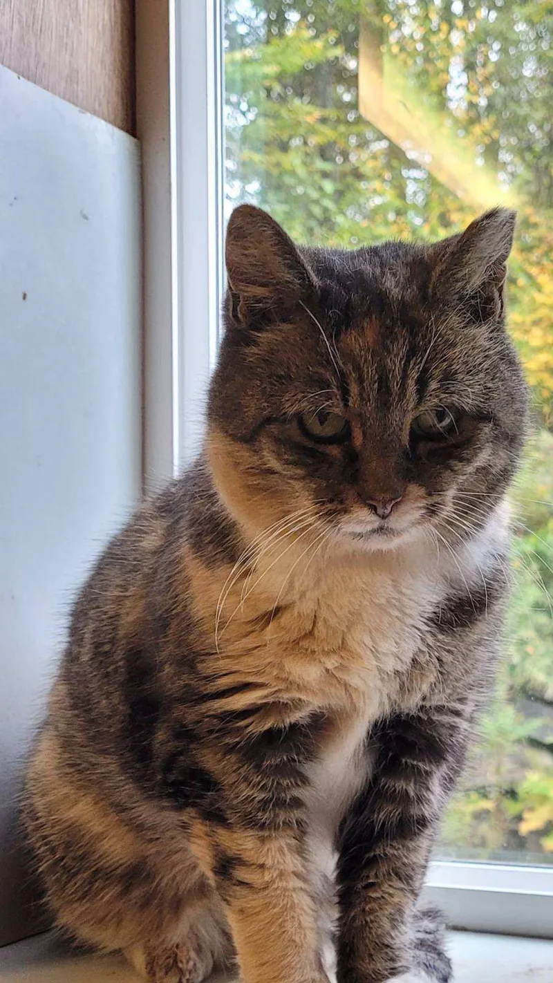 Pretty Girl thumbnail 2