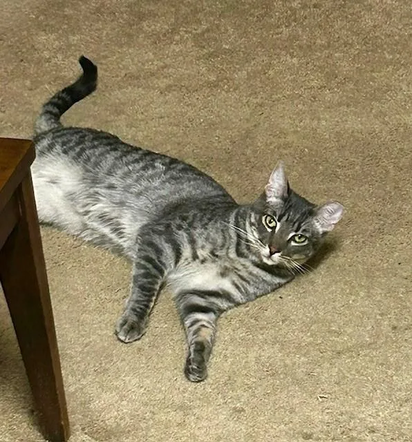 Simon And Harvey thumbnail 6