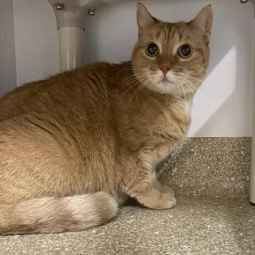 Hermoine thumbnail 6