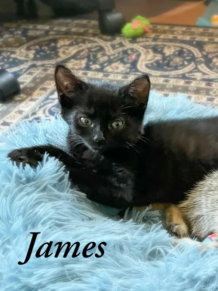 James thumbnail 2
