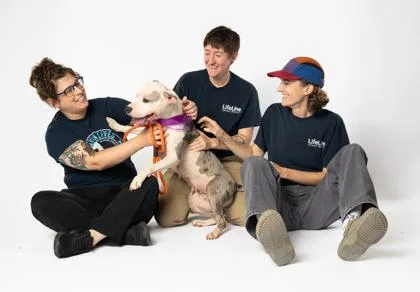 An adult medium-sized female Mixed Breed dog named Ruthie for adoption in Atlanta, GA