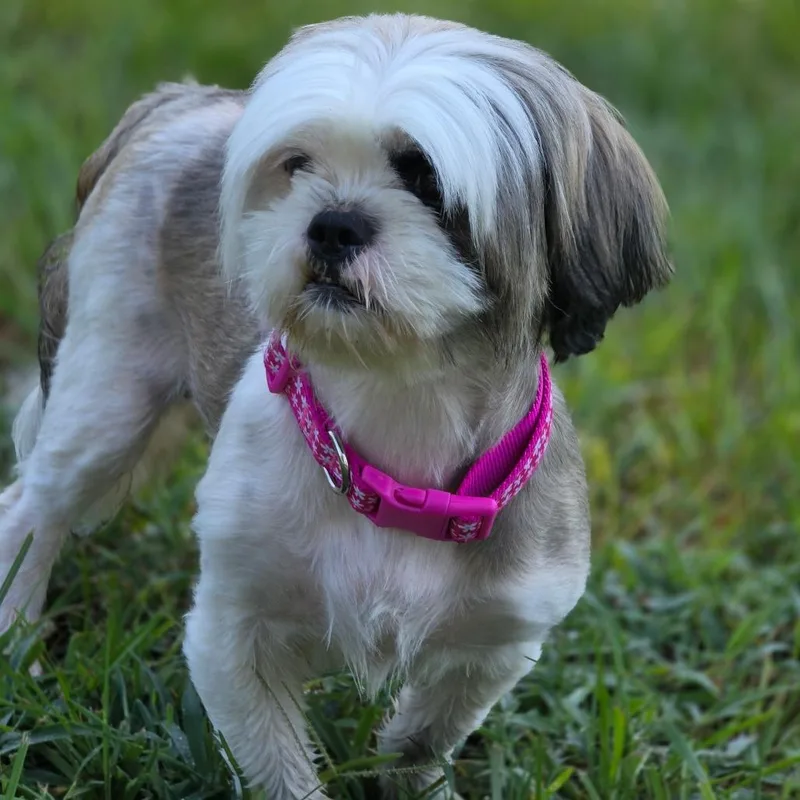 Mable thumbnail 2