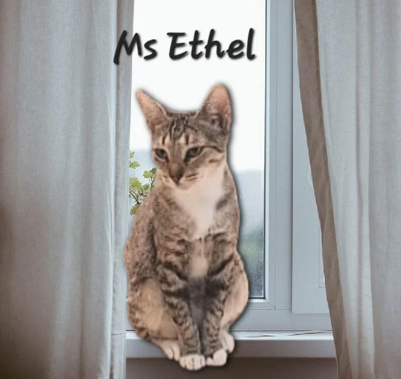Ms Ethel Lowmaintenance thumbnail 2