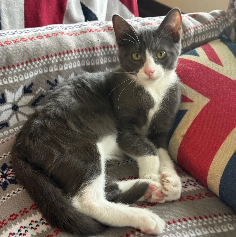 Miles Mrcongeniality thumbnail 2