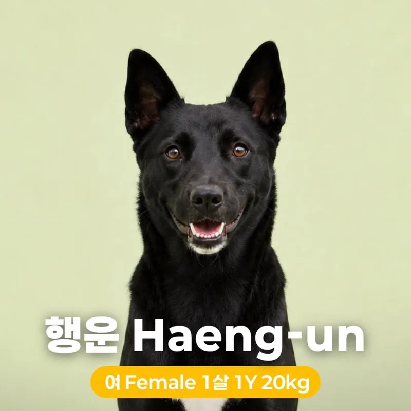 Haengun thumbnail 3