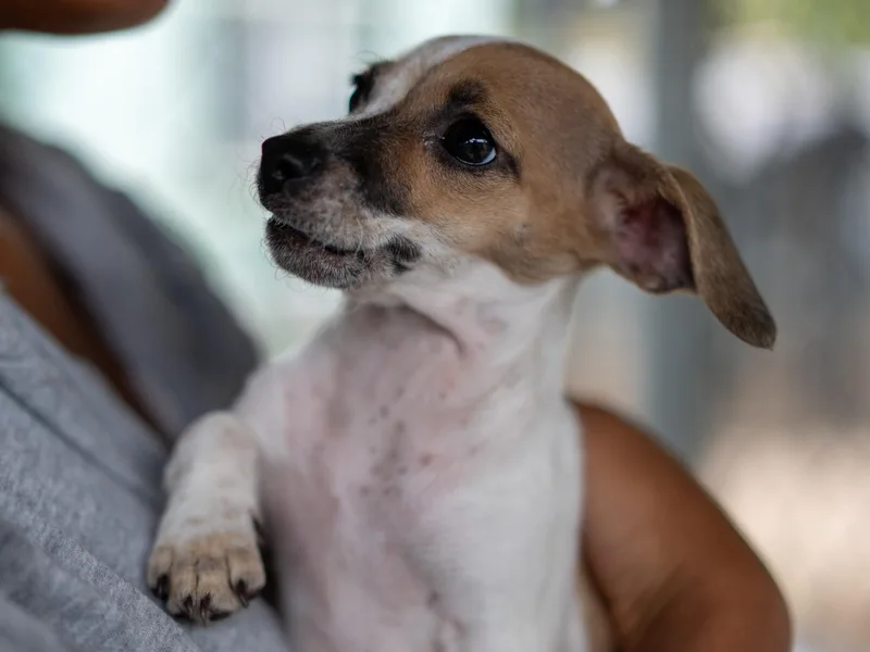 Baby Fiona thumbnail 2