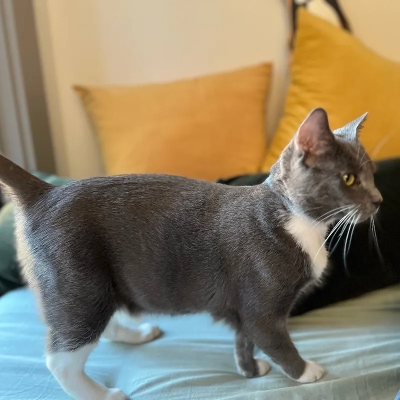 Korpiklaani  Athens  thumbnail 2