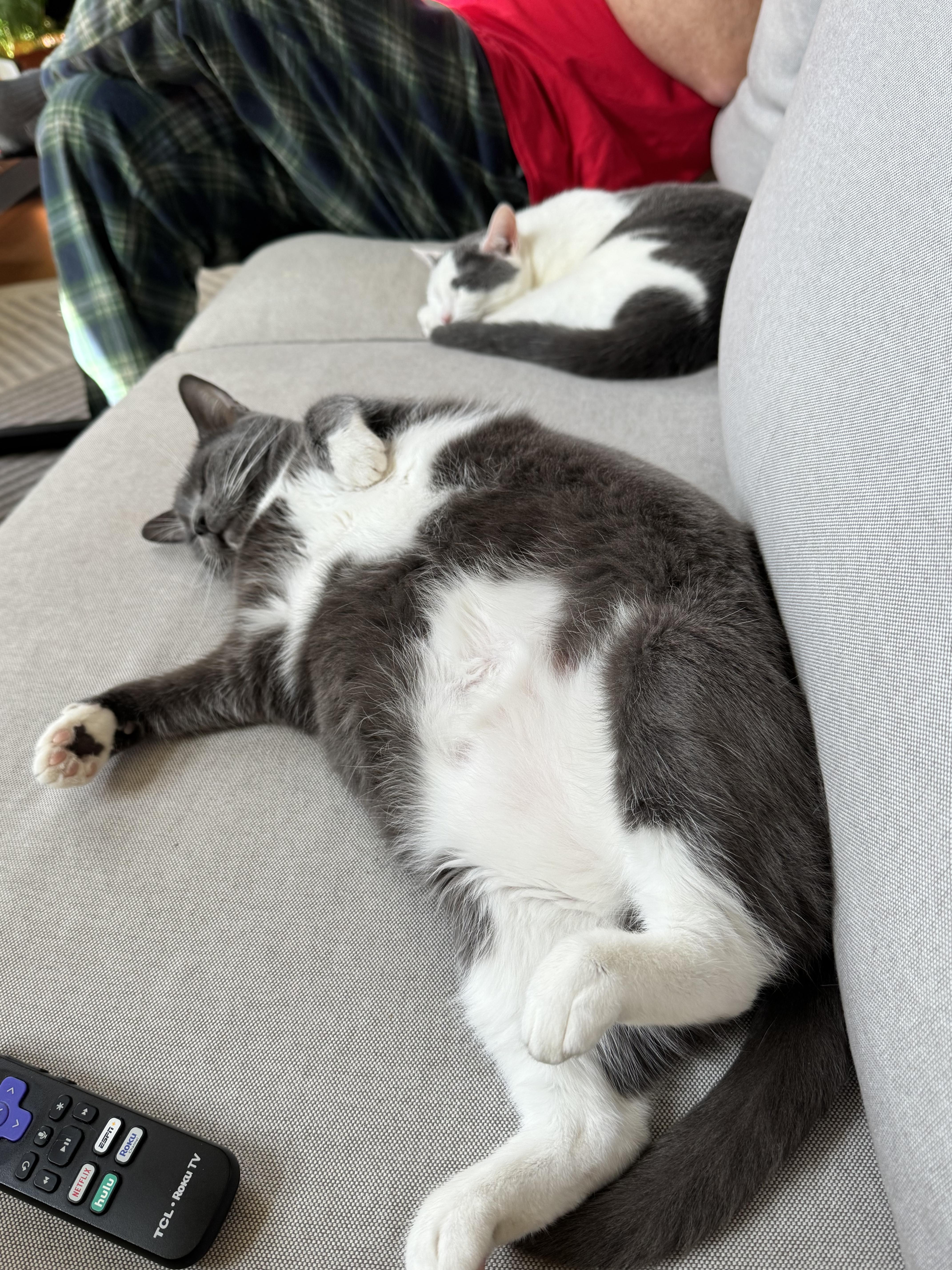 Korpiklaani  Athens  thumbnail 4