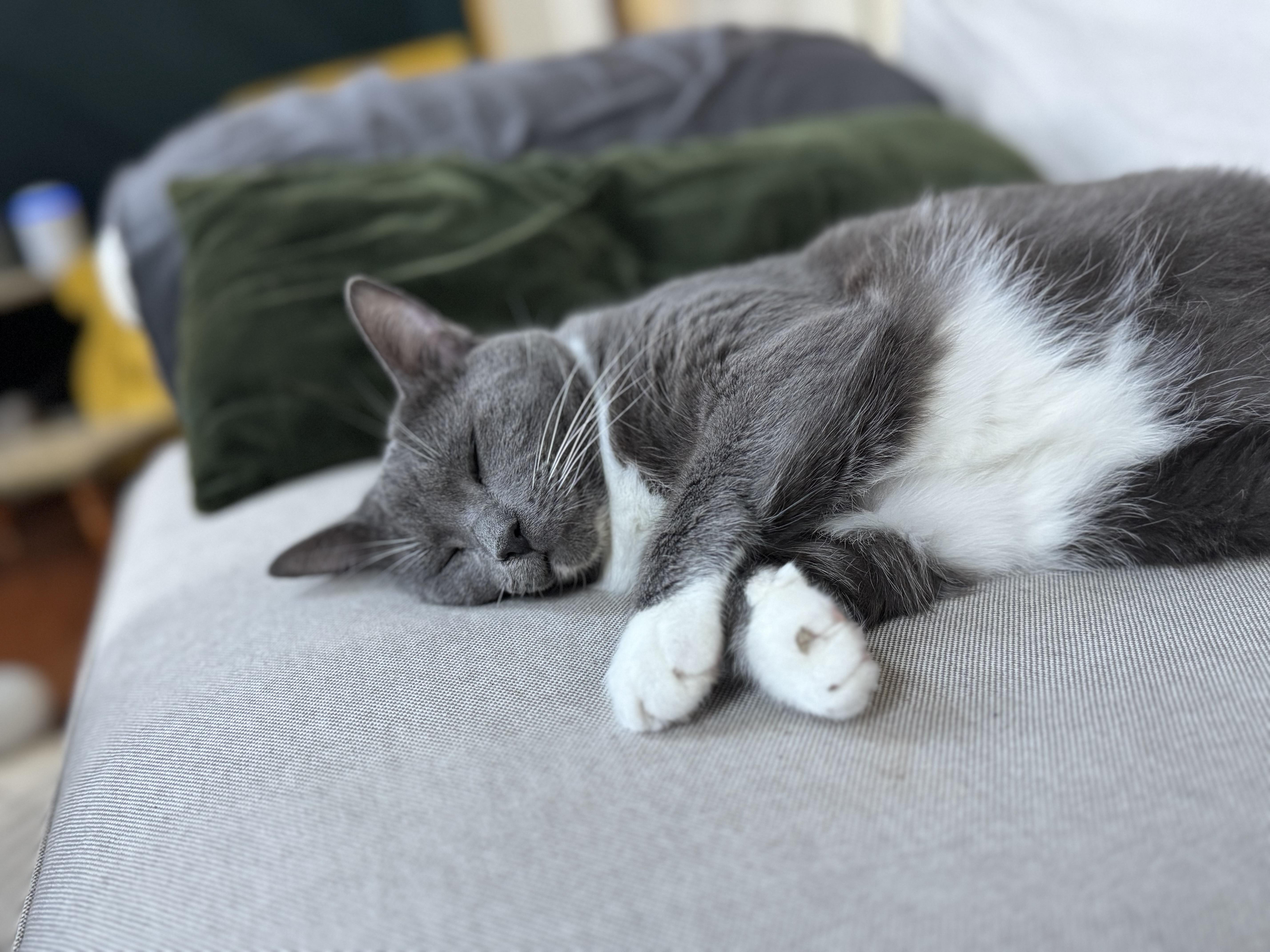 Korpiklaani  Athens  thumbnail 6