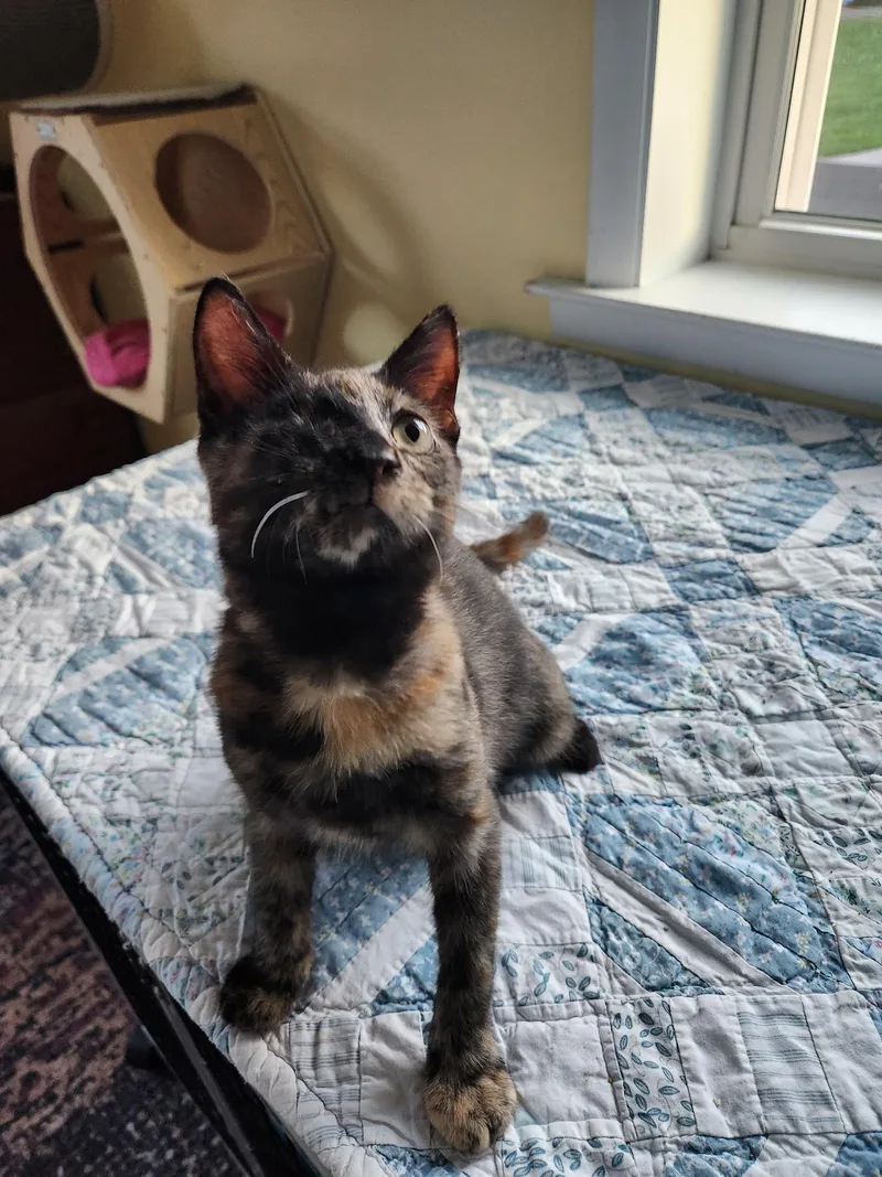 Jelly Bean Nelly thumbnail 2