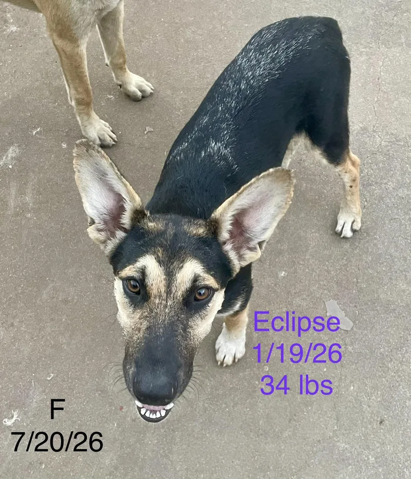 Eclipse thumbnail 2