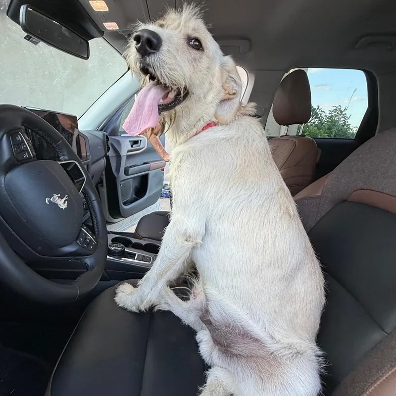 Nathan thumbnail 6