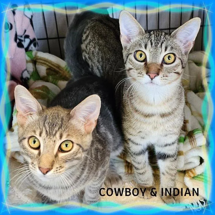 Cowboy & Indian