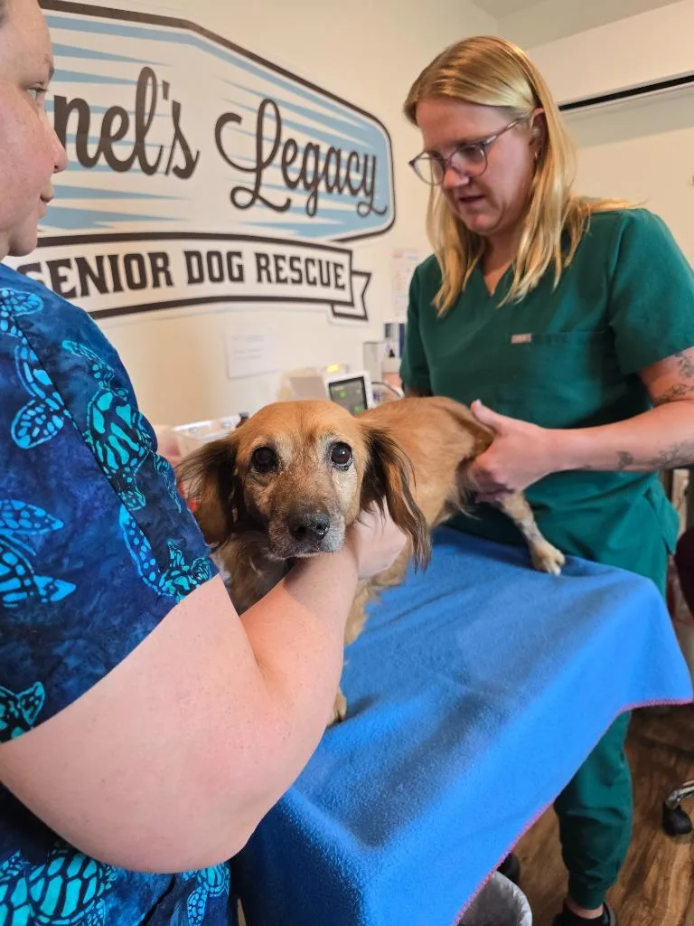 Snuggles thumbnail 2