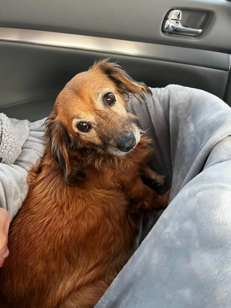 Snuggles thumbnail 3