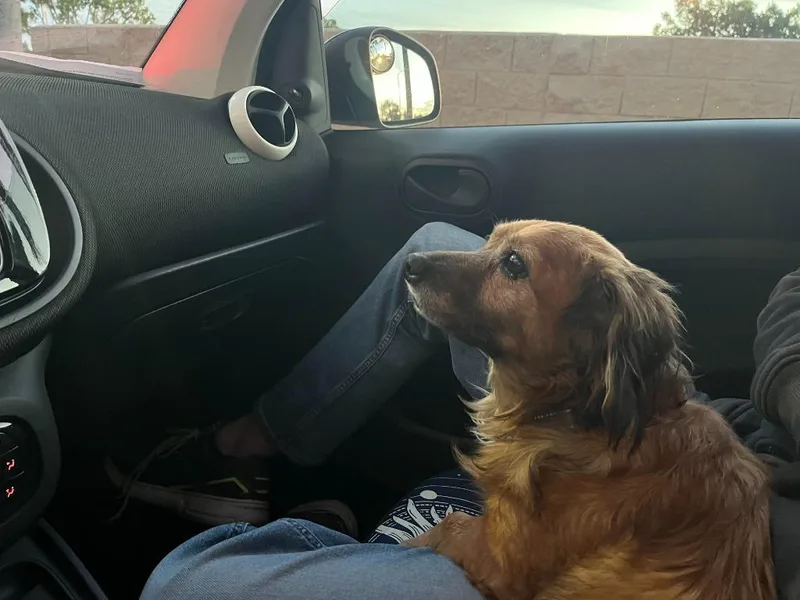 Snuggles thumbnail 4