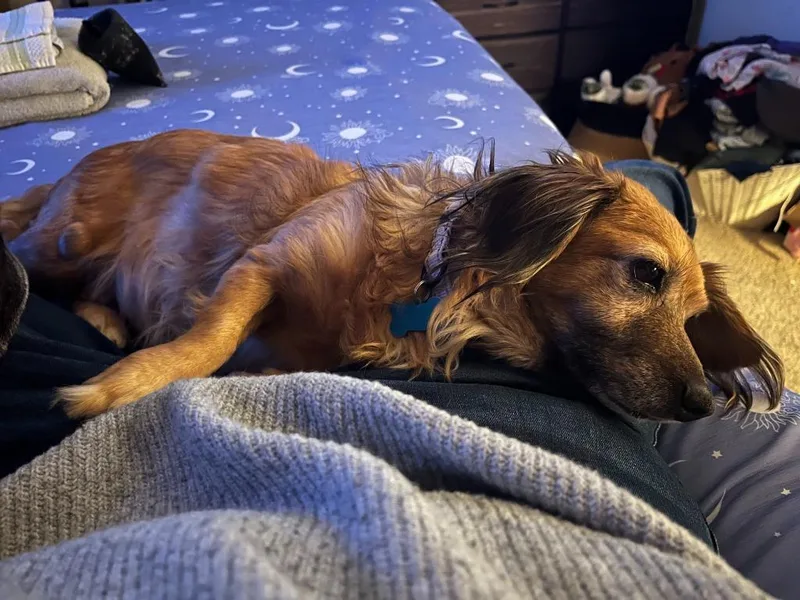 Snuggles thumbnail 5