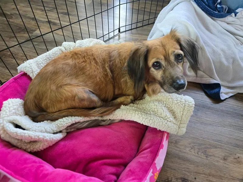 Snuggles thumbnail 6