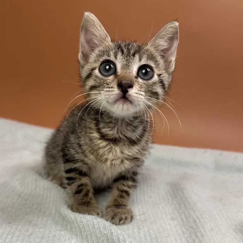 Danny thumbnail 5
