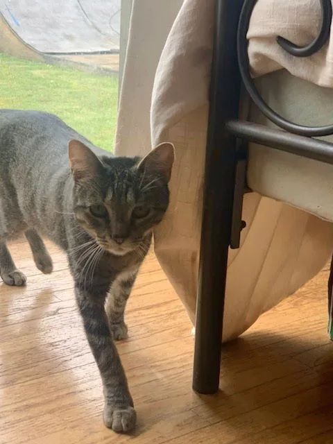 Ms. Taffy Girl!! thumbnail 4