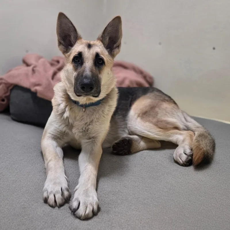 Sheila Dobie thumbnail 2