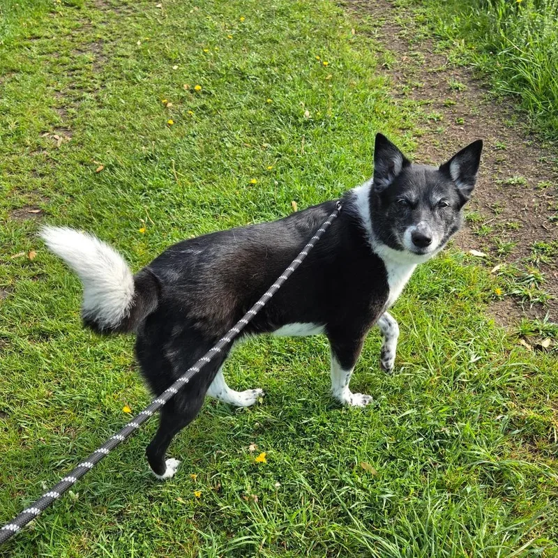 Yukiko thumbnail 3