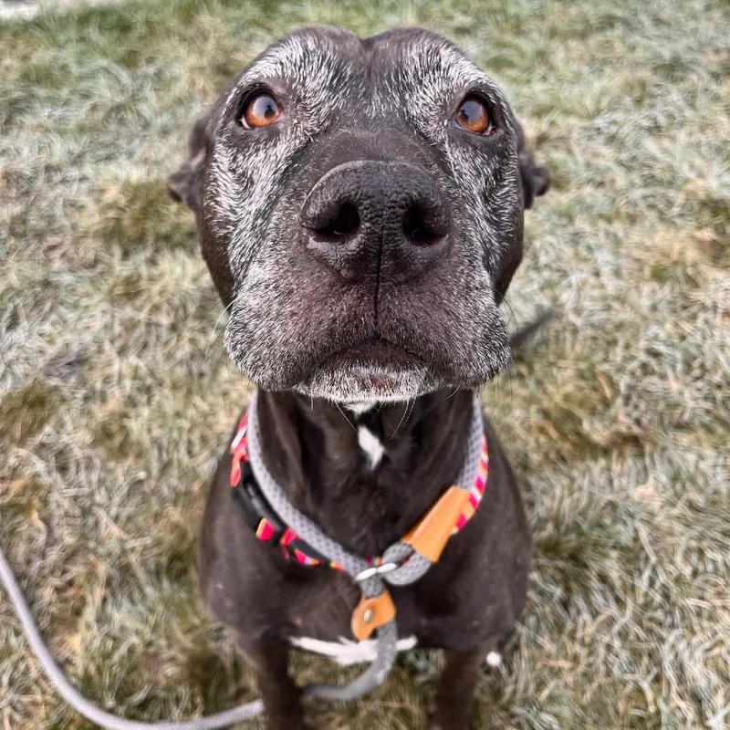 Mama Odie thumbnail 3