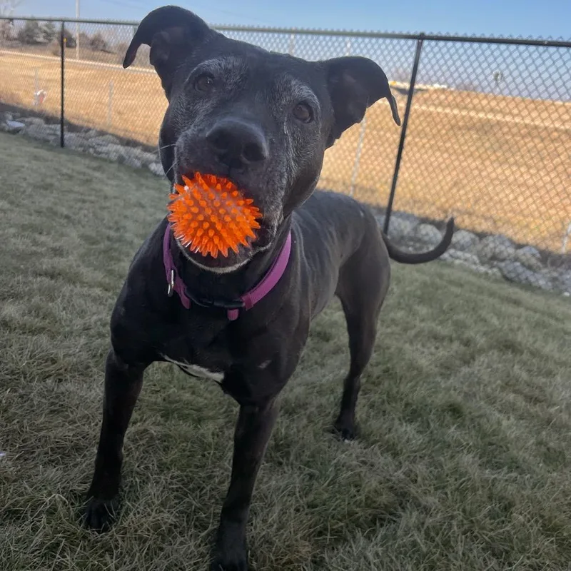 Mama Odie thumbnail 5