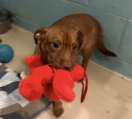 Wisconsin thumbnail 2