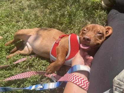 Wisconsin thumbnail 4