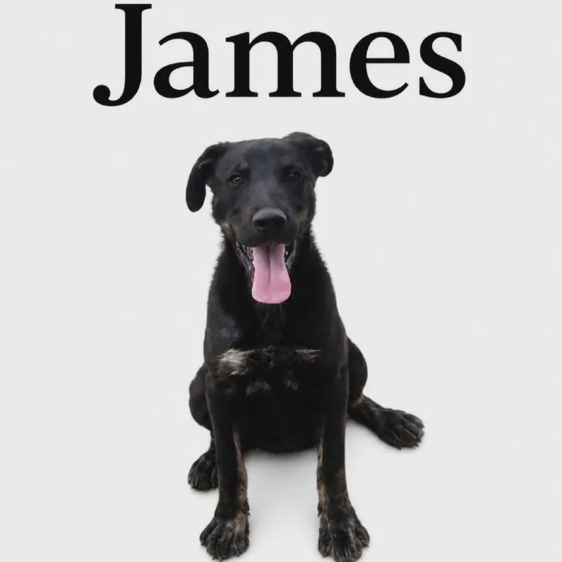 James thumbnail 2