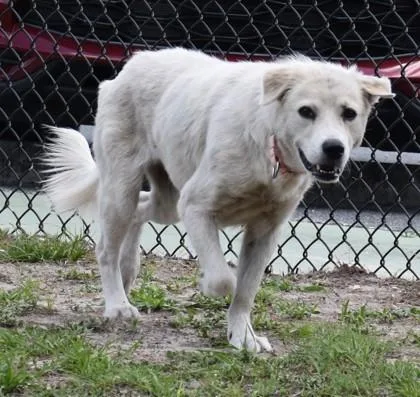 Valentina thumbnail 2