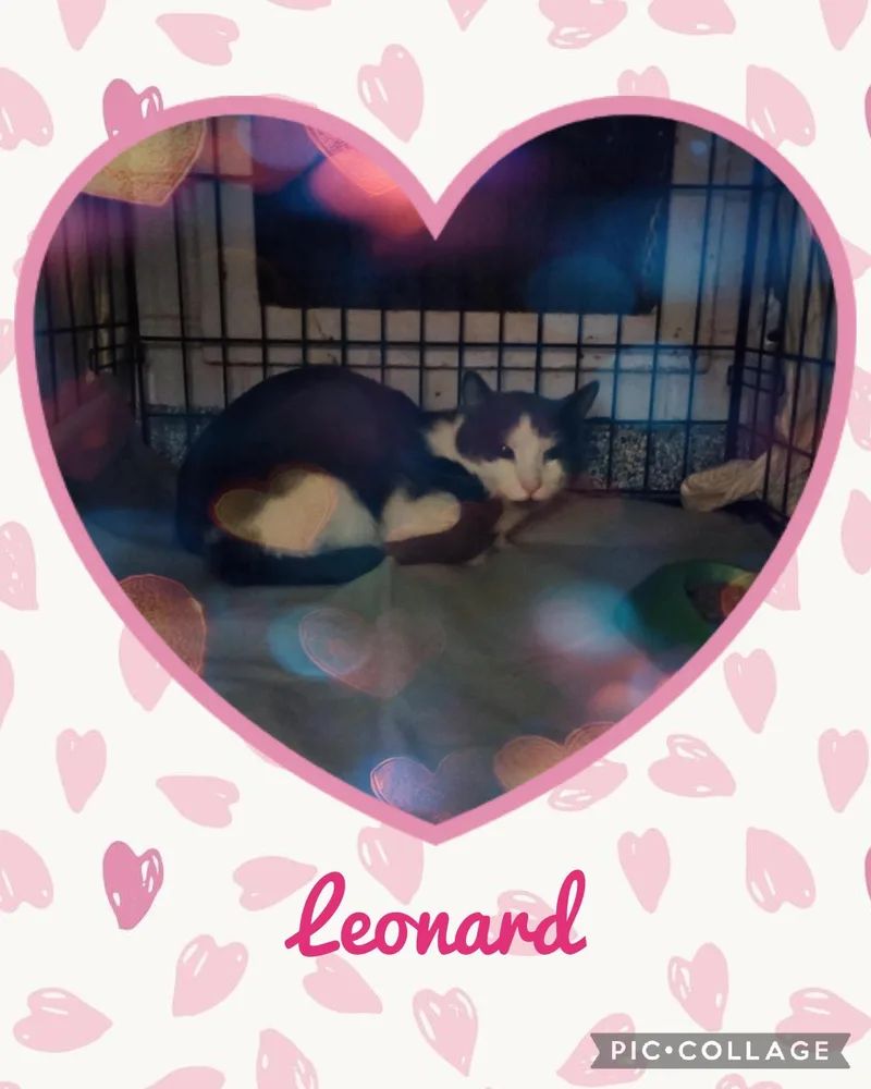 Leonard